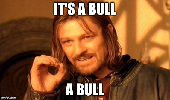 One Does Not Simply Meme | IT'S A BULL A BULL | image tagged in memes,one does not simply | made w/ Imgflip meme maker