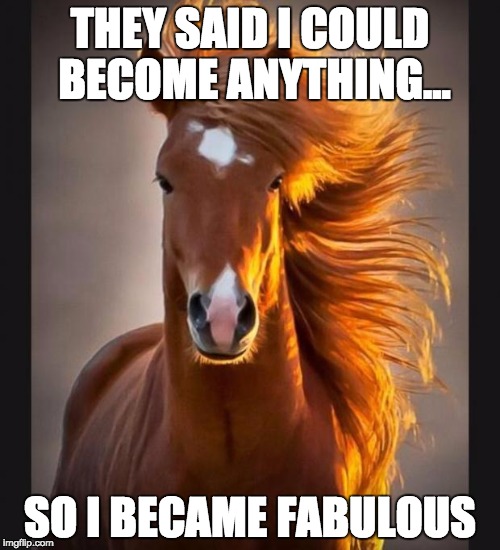 Horse | THEY SAID I COULD BECOME ANYTHING... SO I BECAME FABULOUS | image tagged in horse | made w/ Imgflip meme maker