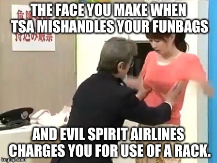 TSA Checks Funbags and Evil Spirit Airlines Charges For Rack | THE FACE YOU MAKE WHEN TSA MISHANDLES YOUR FUNBAGS; AND EVIL SPIRIT AIRLINES CHARGES YOU FOR USE OF A RACK. | image tagged in tsa checks funbags,grope | made w/ Imgflip meme maker