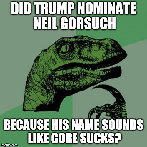 Probably makes more sense that way than a lot of his picks. | DID TRUMP NOMINATE NEIL GORSUCH; BECAUSE HIS NAME SOUNDS LIKE GORE SUCKS? | image tagged in memes,philosoraptor,donald trump,neil gorsuch,al gore | made w/ Imgflip meme maker