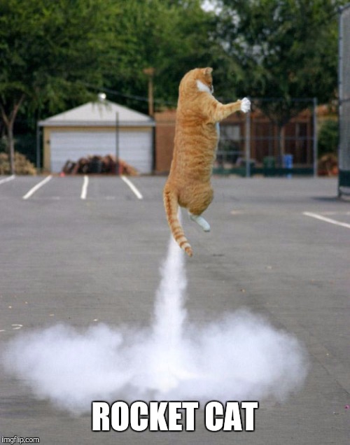 I'm a... | ROCKET CAT | image tagged in cats | made w/ Imgflip meme maker