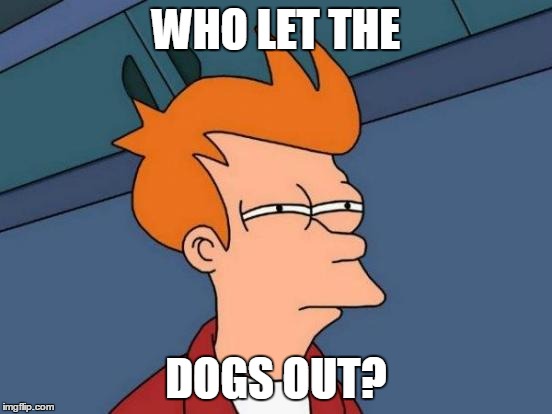Futurama Fry Meme | WHO LET THE DOGS OUT? | image tagged in memes,futurama fry | made w/ Imgflip meme maker