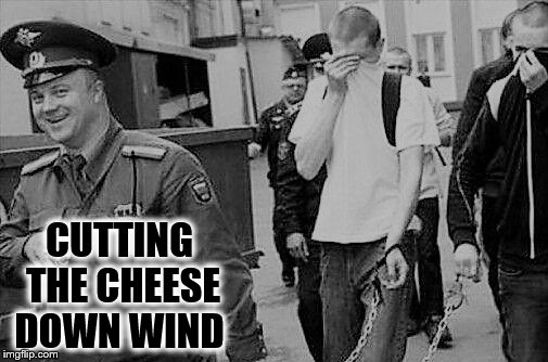 Can't do Time don't do the Crime  | CUTTING THE CHEESE DOWN WIND | image tagged in bad wind cop,cut the cheese,fart,memes,cops,police | made w/ Imgflip meme maker
