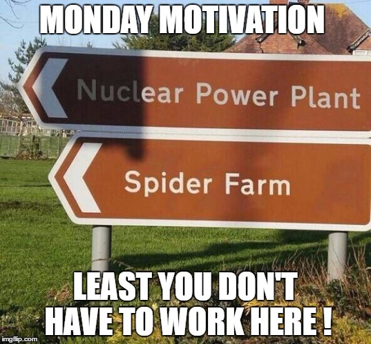 OOPs spiders  | MONDAY MOTIVATION; LEAST YOU DON'T HAVE TO WORK HERE ! | image tagged in monday motivation,spiders,nuclear | made w/ Imgflip meme maker
