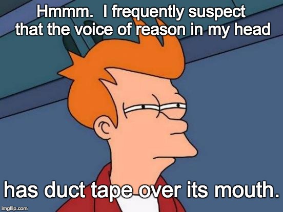 Futurama Fry | Hmmm.  I frequently suspect that the voice of reason in my head; has duct tape over its mouth. | image tagged in memes,futurama fry | made w/ Imgflip meme maker