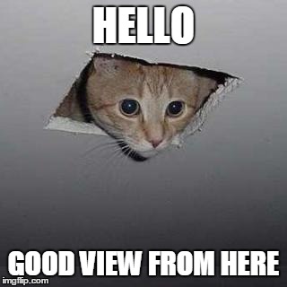 Ceiling Cat | HELLO; GOOD VIEW FROM HERE | image tagged in memes,ceiling cat | made w/ Imgflip meme maker