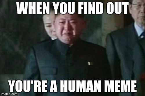Kim Jong Un Sad | WHEN YOU FIND OUT; YOU'RE A HUMAN MEME | image tagged in memes,kim jong un sad | made w/ Imgflip meme maker