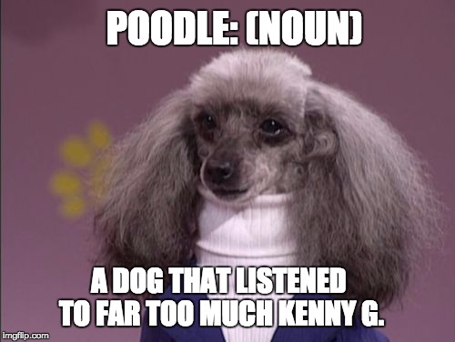 Turtleneck Poodle  | POODLE: (NOUN); A DOG THAT LISTENED TO FAR TOO MUCH KENNY G. | image tagged in turtleneck poodle | made w/ Imgflip meme maker