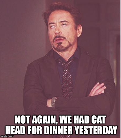 Face You Make Robert Downey Jr Meme | NOT AGAIN, WE HAD CAT HEAD FOR DINNER YESTERDAY | image tagged in memes,face you make robert downey jr | made w/ Imgflip meme maker