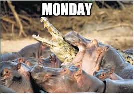 I hate monday | MONDAY | image tagged in animal attack | made w/ Imgflip meme maker