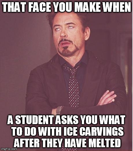 Seriously!!!!  | THAT FACE YOU MAKE WHEN; A STUDENT ASKS YOU WHAT TO DO WITH ICE CARVINGS AFTER THEY HAVE MELTED | image tagged in memes,face you make robert downey jr,ice carvings,stupid people,special kind of stupid,funny | made w/ Imgflip meme maker
