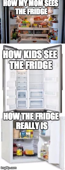 How we see the fridge | HOW MY MOM SEES THE FRIDGE; HOW KIDS SEE THE FRIDGE; HOW THE FRIDGE REALLY IS | image tagged in refrigerator,relatable,mom | made w/ Imgflip meme maker