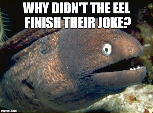 Why didn't they finish their | WHY DIDN'T THE EEL FINISH THEIR JOKE? | image tagged in memes,bad joke eel | made w/ Imgflip meme maker