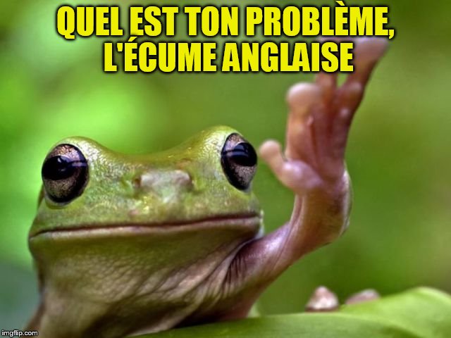 QUEL EST TON PROBLÈME, L'ÉCUME ANGLAISE | made w/ Imgflip meme maker