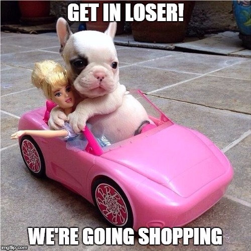 Mean Dogs! | image tagged in mean girls,shopping | made w/ Imgflip meme maker