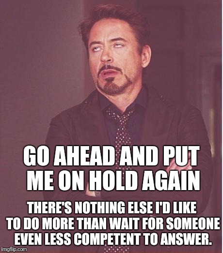 Face You Make Robert Downey Jr Meme | GO AHEAD AND PUT ME ON HOLD AGAIN; THERE'S NOTHING ELSE I'D LIKE TO DO MORE THAN WAIT FOR SOMEONE EVEN LESS COMPETENT TO ANSWER. | image tagged in memes,face you make robert downey jr | made w/ Imgflip meme maker