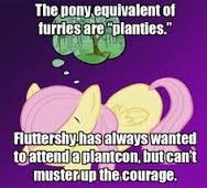 umm... fluttershy? | wat? | image tagged in memes,planties,bronies,fluttershy,my little pony,furries | made w/ Imgflip meme maker