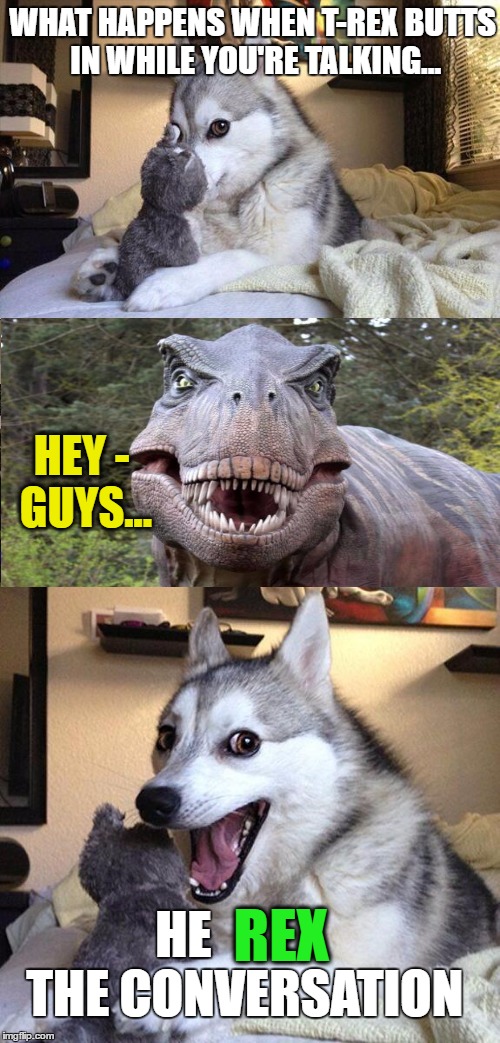 Intrusive T-Rex | WHAT HAPPENS WHEN T-REX BUTTS IN WHILE YOU'RE TALKING... HEY - GUYS... REX; HE            THE CONVERSATION | image tagged in bad pun dog,t-rex,lol so funny,old friends,third wheel,funny memes | made w/ Imgflip meme maker