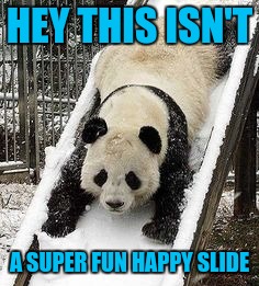 HEY THIS ISN'T A SUPER FUN HAPPY SLIDE | made w/ Imgflip meme maker