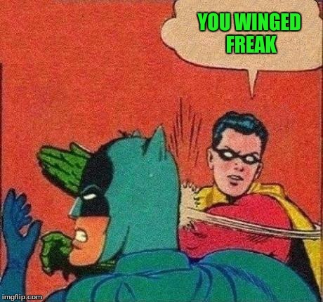YOU WINGED FREAK | made w/ Imgflip meme maker