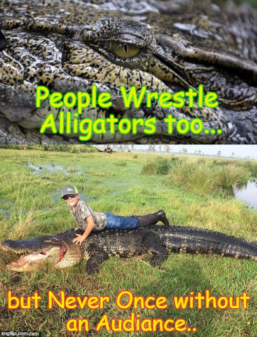 Ali G. tor |  People Wrestle Alligators too... but Never Once without an Audiance.. | image tagged in animal,alligator,suffering,torment,inhuman | made w/ Imgflip meme maker