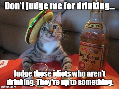 After this he will take a four hour siesta. | Don't judge me for drinking... Judge those idiots who aren't drinking. They're up to something. | image tagged in tequila,funny meme,cat | made w/ Imgflip meme maker