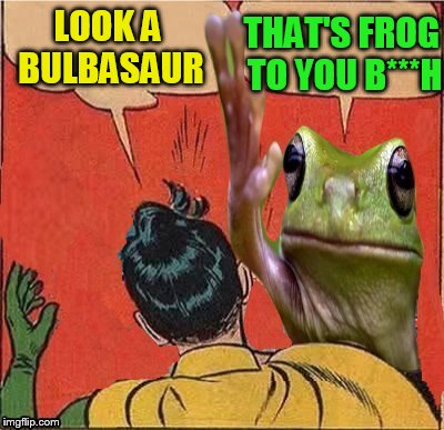 LOOK A BULBASAUR THAT'S FROG TO YOU B***H | image tagged in frog slapping robin | made w/ Imgflip meme maker