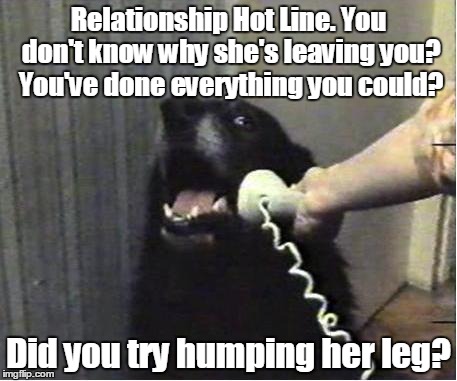 Yes this is dog | Relationship Hot Line. You don't know why she's leaving you? You've done everything you could? Did you try humping her leg? | image tagged in yes this is dog | made w/ Imgflip meme maker