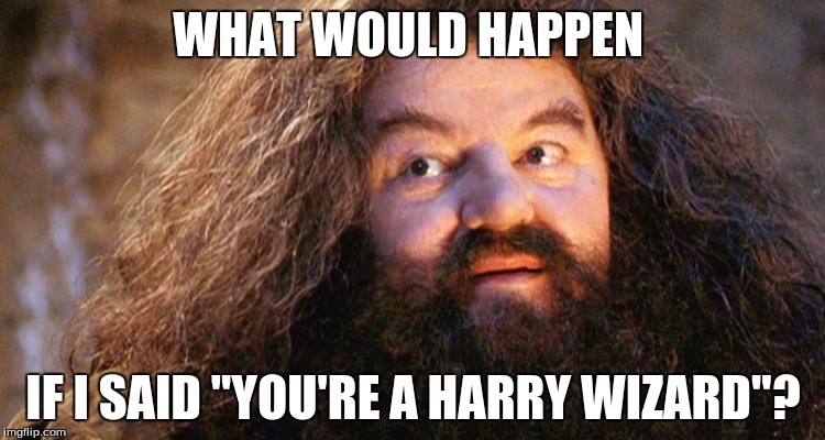 Speculative Hagrid | WHAT WOULD HAPPEN; IF I SAID "YOU'RE A HARRY WIZARD"? | image tagged in memes | made w/ Imgflip meme maker