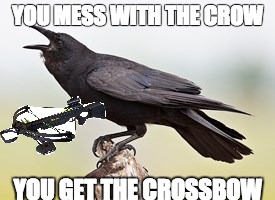 CROW CROSSBOW | YOU MESS WITH THE CROW; YOU GET THE CROSSBOW | image tagged in bad pun crow | made w/ Imgflip meme maker