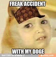 Doge Man | FREAK ACCIDENT; WITH MY DOGE | image tagged in i like trains | made w/ Imgflip meme maker