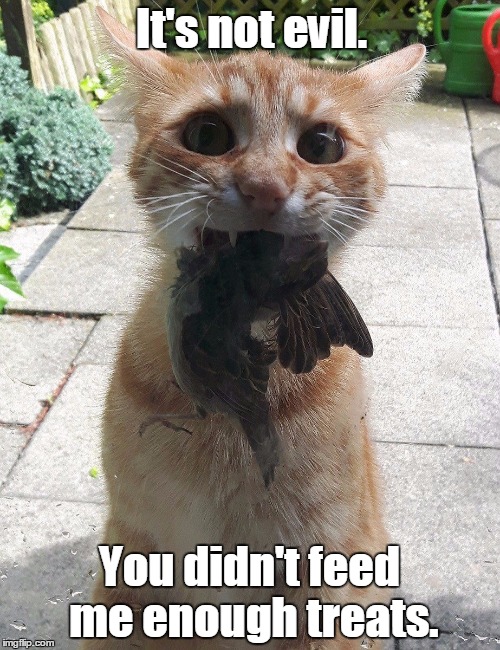 It's not evil. You didn't feed me enough treats. | made w/ Imgflip meme maker