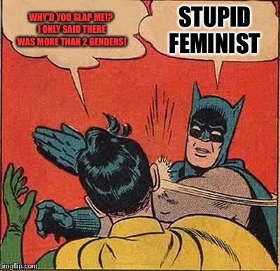 Batman Slapping Robin Meme | WHY'D YOU SLAP ME!? I ONLY SAID THERE WAS MORE THAN 2 GENDERS! STUPID FEMINIST | image tagged in memes,batman slapping robin | made w/ Imgflip meme maker