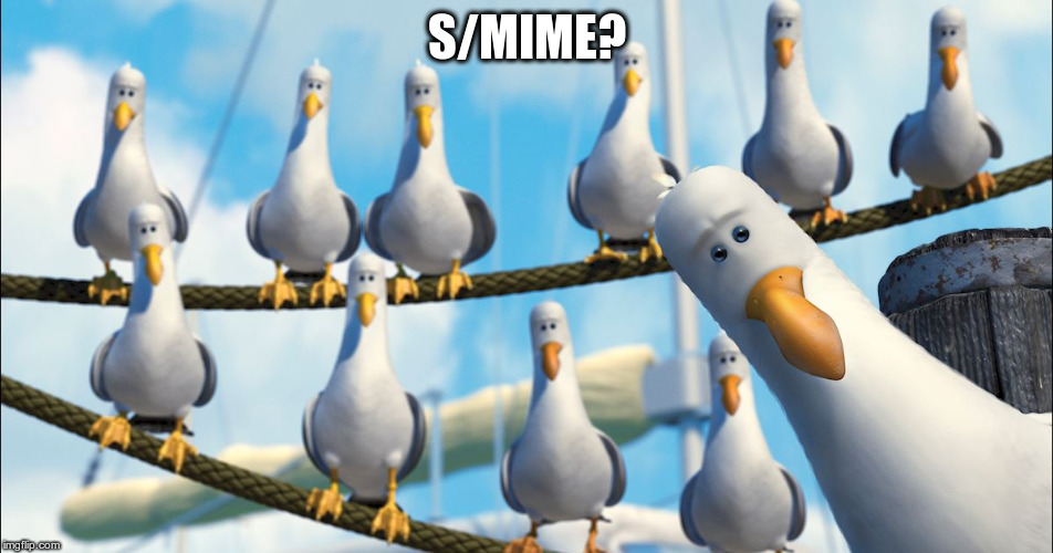 S/MIME? | image tagged in seagulls | made w/ Imgflip meme maker