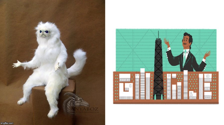 Pure inspiration from the Persian Cat to Google. | image tagged in funny,persian cat room guardian | made w/ Imgflip meme maker