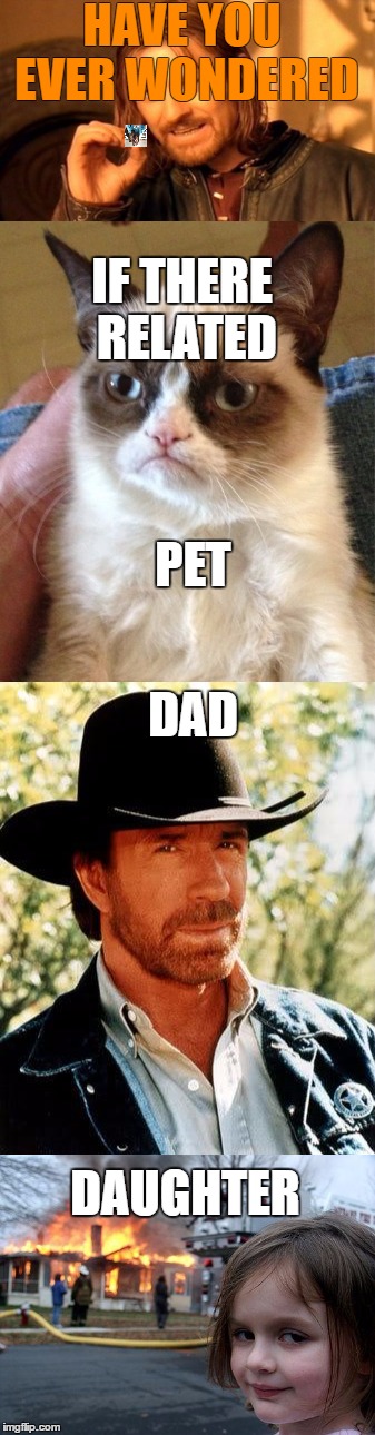 true family | HAVE YOU EVER WONDERED; IF THERE RELATED; PET; DAD; DAUGHTER | image tagged in family | made w/ Imgflip meme maker