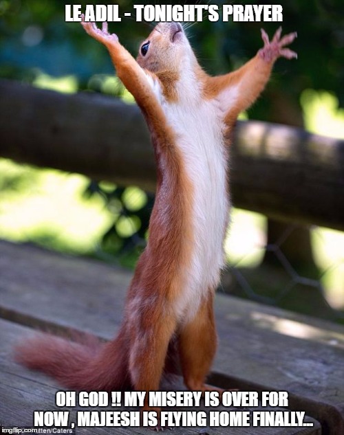 Praying Squirrel | LE ADIL - TONIGHT'S PRAYER; OH GOD !! MY MISERY IS OVER FOR NOW , MAJEESH IS FLYING HOME FINALLY... | image tagged in praying squirrel | made w/ Imgflip meme maker