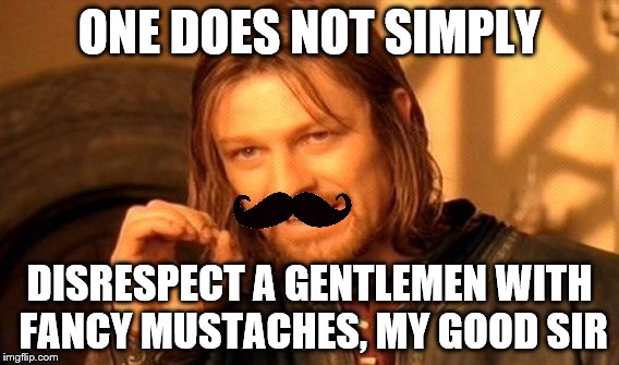 Gentlemen are VERY Intelligent creatures. | ONE DOES NOT SIMPLY; DISRESPECT A GENTLEMEN WITH FANCY MUSTACHES, MY GOOD SIR | image tagged in memes,one does not simply | made w/ Imgflip meme maker