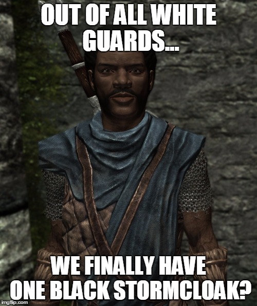 Skyrim Pulp Fiction | OUT OF ALL WHITE GUARDS... WE FINALLY HAVE ONE BLACK STORMCLOAK? | image tagged in skyrim pulp fiction | made w/ Imgflip meme maker