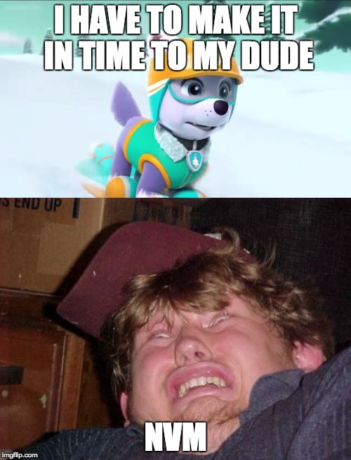 OMG no | I HAVE TO MAKE IT IN TIME TO MY DUDE; NVM | image tagged in wtf | made w/ Imgflip meme maker