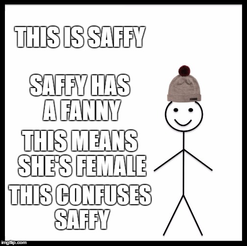Be Like Bill | THIS IS SAFFY; SAFFY HAS A FANNY; THIS MEANS SHE'S FEMALE; THIS CONFUSES SAFFY | image tagged in memes,be like bill | made w/ Imgflip meme maker
