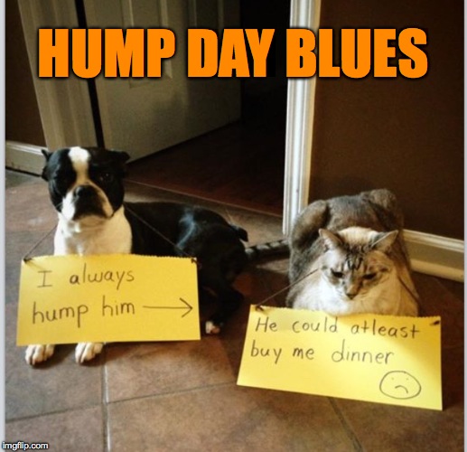 Hump Day | HUMP DAY BLUES | image tagged in blues | made w/ Imgflip meme maker