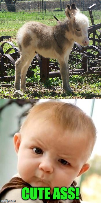 Baby Knows All About Cute! | CUTE ASS! | image tagged in little ass | made w/ Imgflip meme maker
