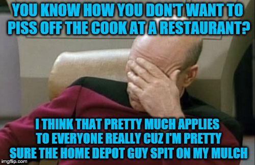 Captain Picard Facepalm | YOU KNOW HOW YOU DON'T WANT TO PISS OFF THE COOK AT A RESTAURANT? I THINK THAT PRETTY MUCH APPLIES TO EVERYONE REALLY CUZ I'M PRETTY SURE THE HOME DEPOT GUY SPIT ON MY MULCH | image tagged in memes,captain picard facepalm | made w/ Imgflip meme maker