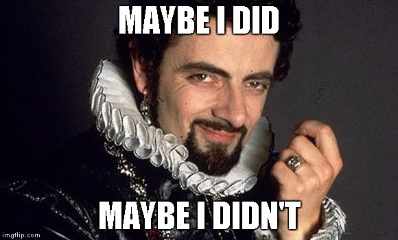 Black Adder | MAYBE I DID MAYBE I DIDN'T | image tagged in black adder | made w/ Imgflip meme maker