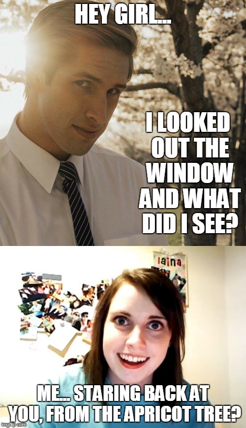 New Hey Girl Guy is being stalked | HEY GIRL... I LOOKED OUT THE WINDOW AND WHAT DID I SEE? ME... STARING BACK AT YOU, FROM THE APRICOT TREE? | image tagged in hey girl,popcorn,apricot tree,overly attached girlfriend | made w/ Imgflip meme maker