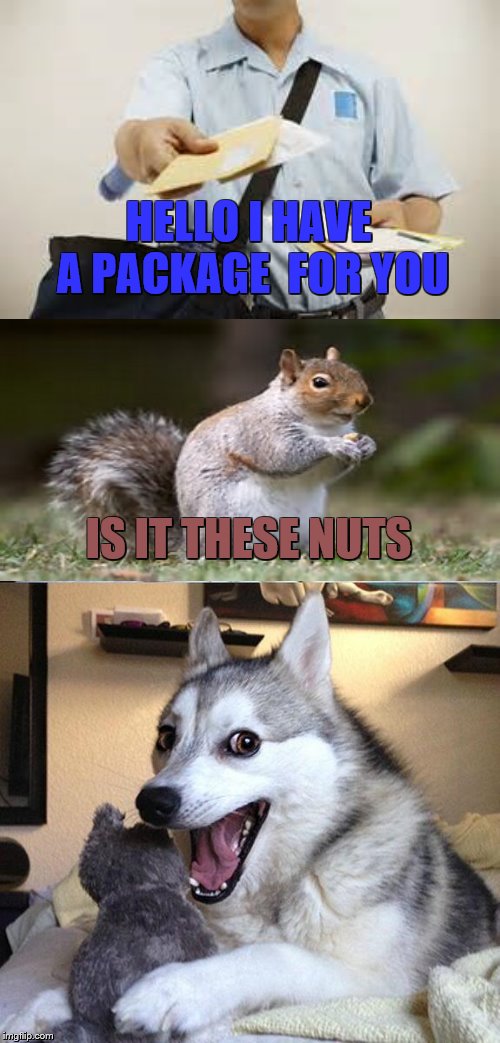 Bad Pun Dog Meme | HELLO I HAVE A PACKAGE  FOR YOU; IS IT THESE NUTS | image tagged in memes,bad pun dog | made w/ Imgflip meme maker