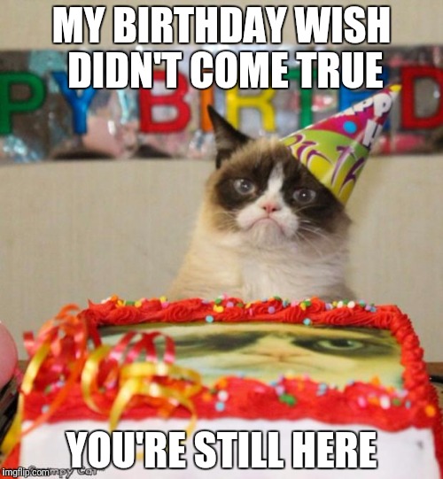 Grumpy Cat Birthday Meme | MY BIRTHDAY WISH DIDN'T COME TRUE; YOU'RE STILL HERE | image tagged in memes,grumpy cat birthday,grumpy cat | made w/ Imgflip meme maker