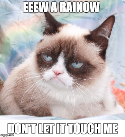 Grumpy Cat | EEEW A RAINOW; DON'T LET IT TOUCH ME | image tagged in grumpy cat | made w/ Imgflip meme maker
