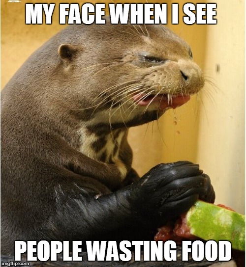patron seal | MY FACE WHEN I SEE; PEOPLE WASTING FOOD | image tagged in patron seal | made w/ Imgflip meme maker